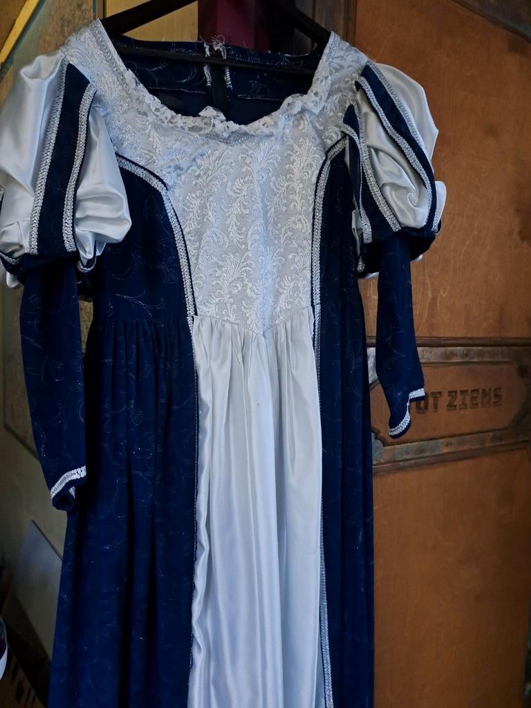 Charles Dickens jurk maat L (40) taillemaat 100 cm, Ophalen of Verzenden, Zo goed als nieuw, Carnaval