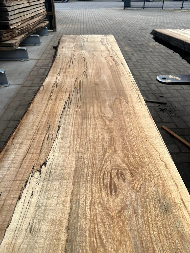 Beuken stamhout met slaap. Rondhout beuken. Schaaldelen, Ophalen, Zo goed als nieuw, 250 cm of meer, Palen