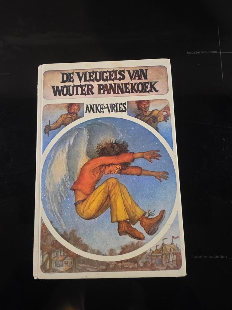 De Vleugels van Wouter Pannekoek - Anke de Vries, Ophalen of Verzenden, Gelezen, Anke de Vries, Fictie algemeen