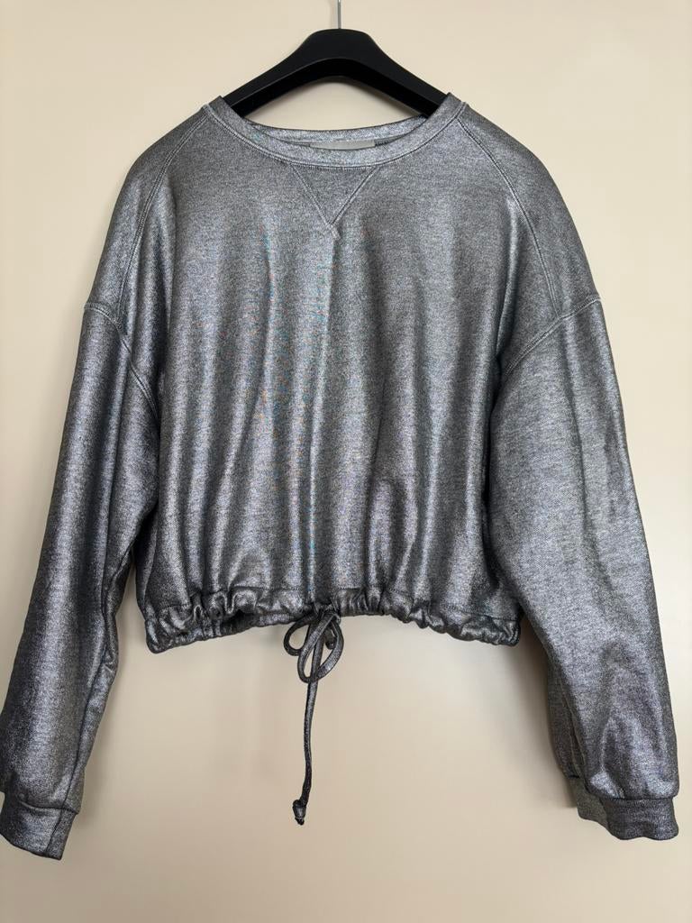 Femmes du sud zilvergrijs top maat s, Ophalen of Verzenden, Zo goed als nieuw, Maat 36 (S), Grijs