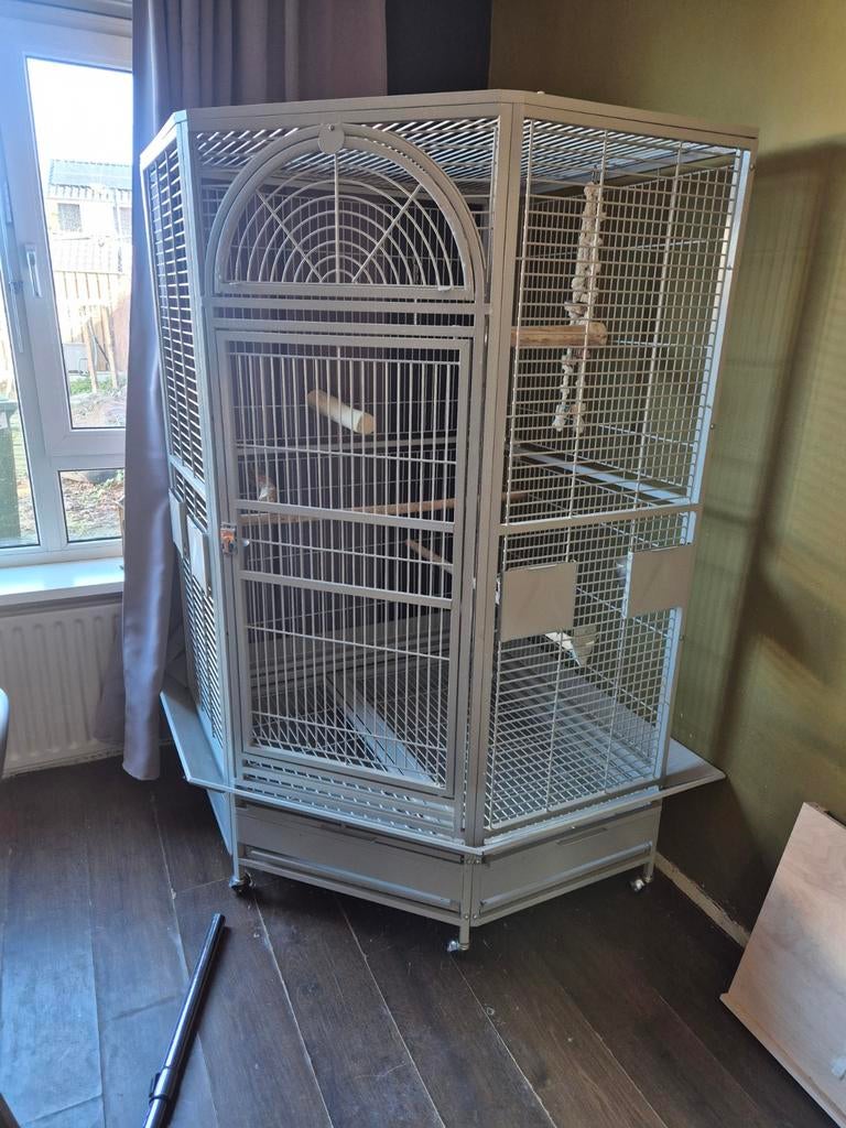 Papegaaienkooi denver van montana, Ophalen