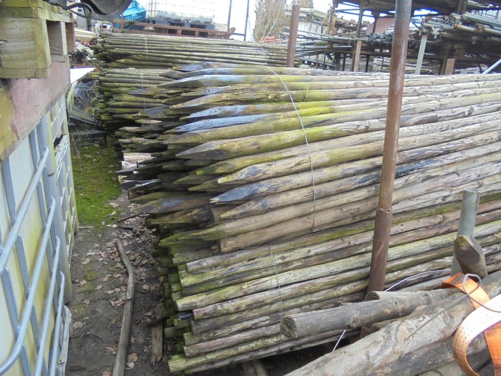 boompalen   dik 5 cm  lang  250 c m, Ophalen, Gebruikt, 250 cm of meer, Balken