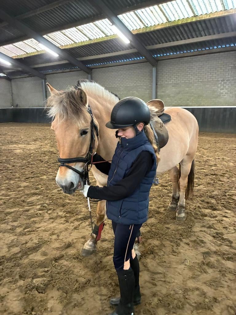 Ik zoek een verzorg pony/paard, Ophalen of Verzenden