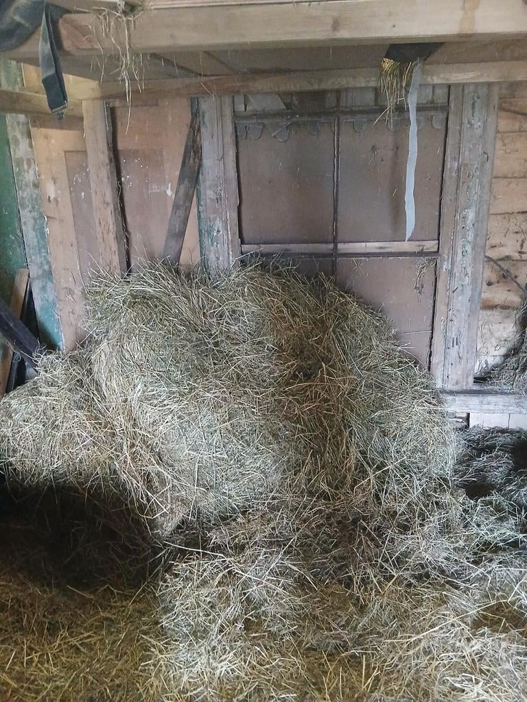 Grote baal hooi, Dieren en Toebehoren