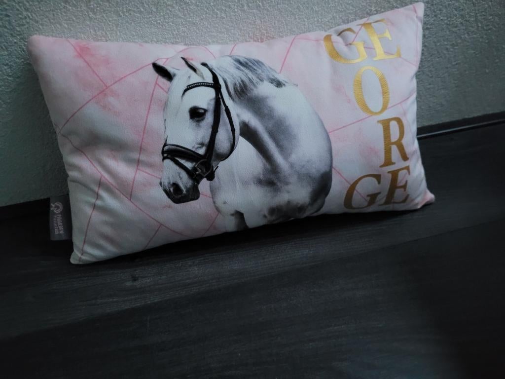 Paardenpraat Kussen, Huis en Inrichting, Woonaccessoires | Kussens, Ophalen of Verzenden, Vierkant