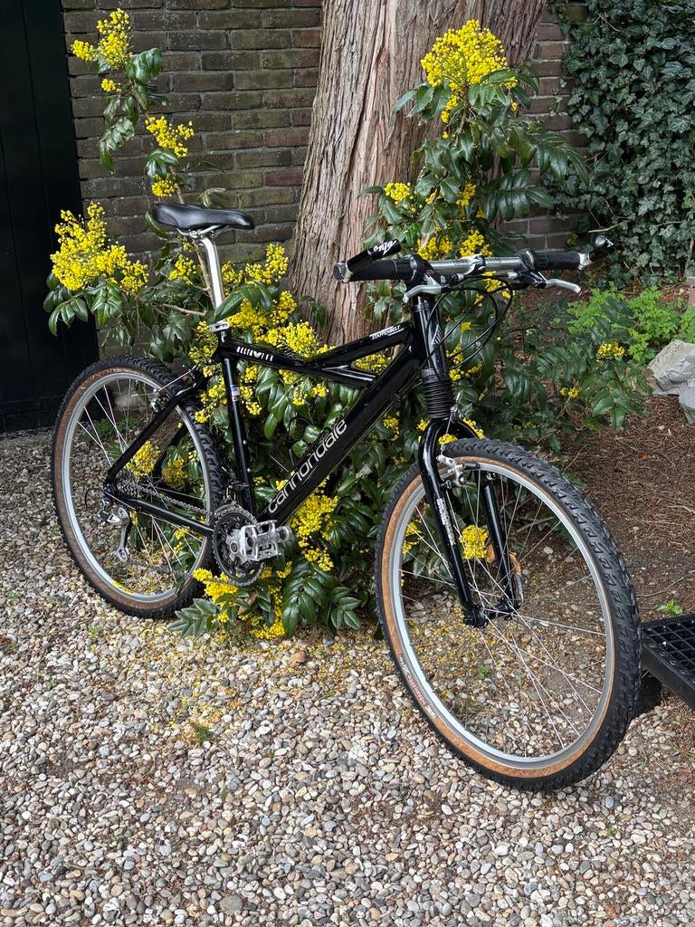 Cannondale Delta V 700, Hardtail, Ophalen, Gebruikt, Overige merken