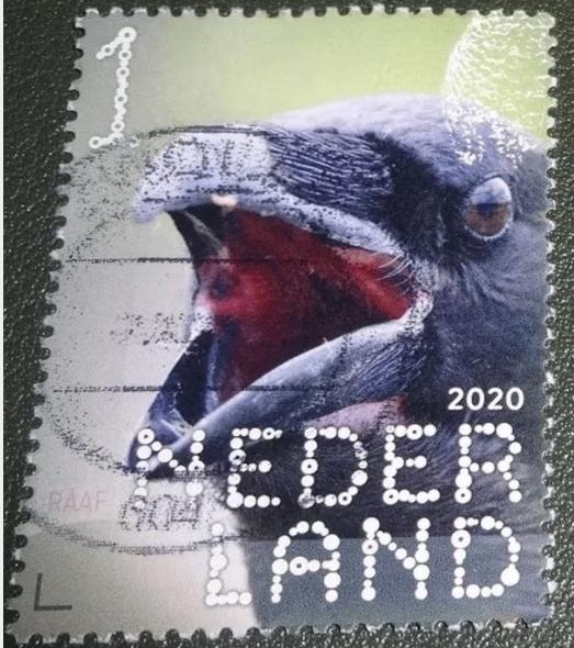 Beleef de Natuur - 3865 - 2020 - Raaf, Verzenden, Na 1940, Gestempeld