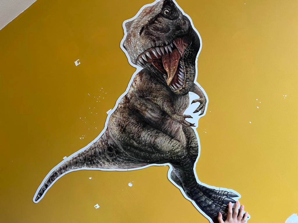 Muurplaat dino, Gebruikt, Ophalen of Verzenden, A1 t/m A3, Overige vormen