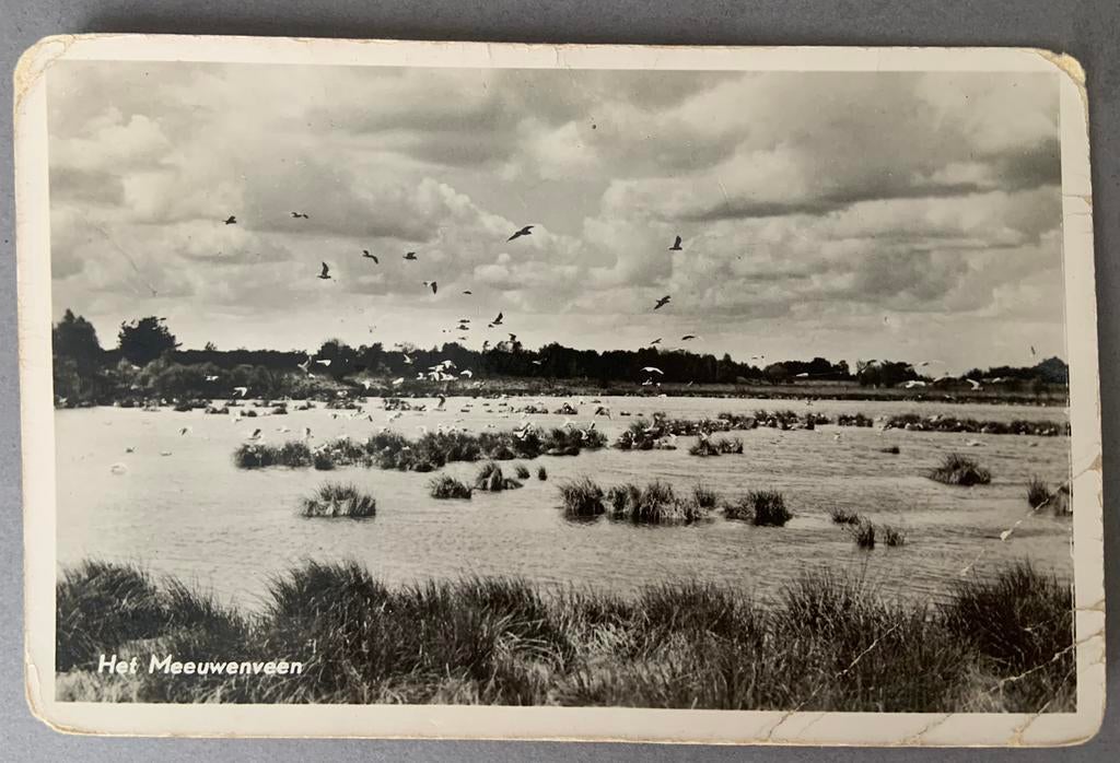 Het Meeuwennest, Bonds Vacantie Oord ,,De Berenkuil”, Grollo, Ophalen of Verzenden, Gelopen, Drenthe