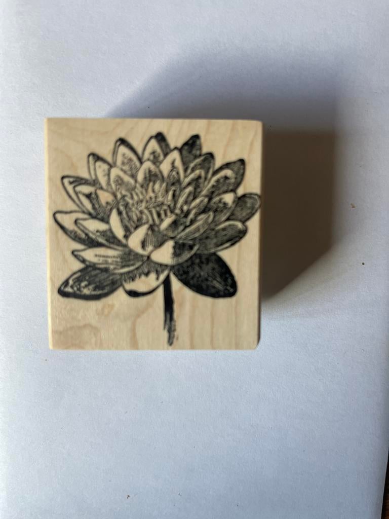 Houten stempel waterlelie De Posthumuswinkel nieuw, Hobby en Vrije tijd, Stempelen, Nieuw, Houten stempel, Ophalen of Verzenden