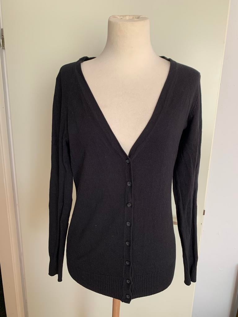 Anni Rolfi dames vest maat xl voor 5 euro, Ophalen of Verzenden, Zo goed als nieuw, Maat 46/48 (XL) of groter