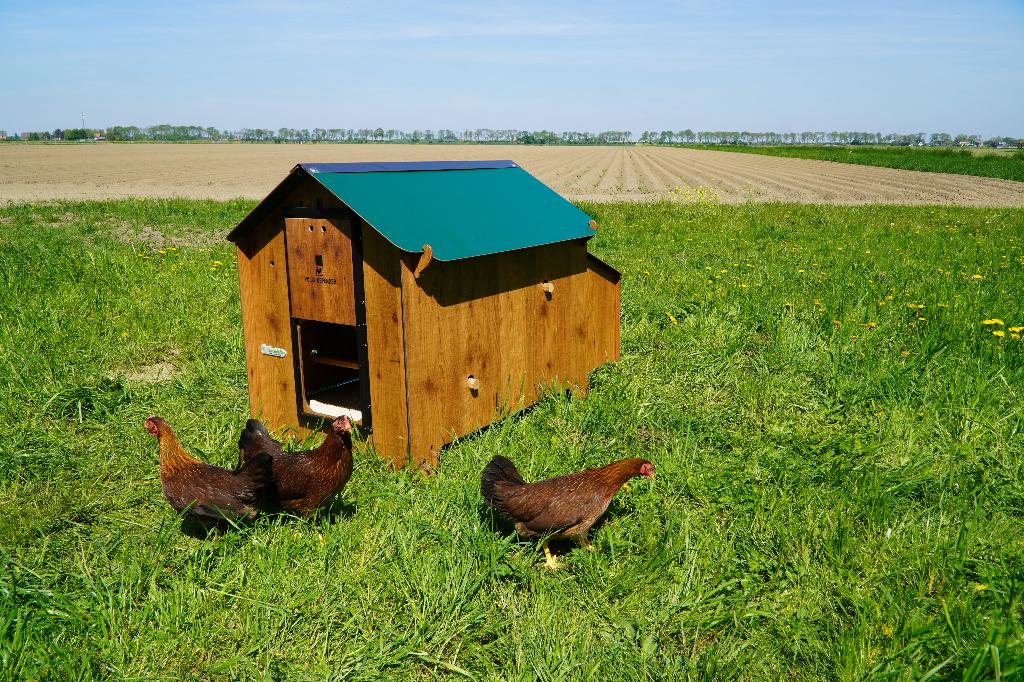 Trespa Kippenhok Cucciolotta Classic L | Grondmodel, Dieren en Toebehoren, Ophalen of Verzenden, Nieuw, Kippenhok of Kippenren