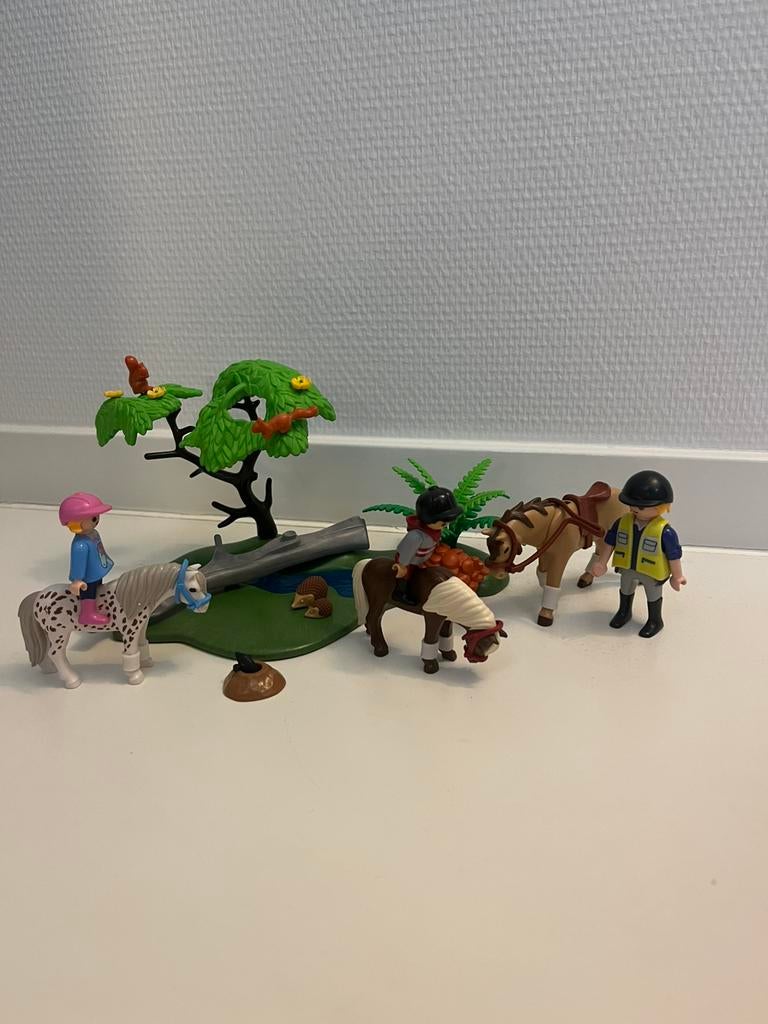 Playmobiel 6947 pony rijles, Kinderen en Baby's, Speelgoed | Playmobil, Ophalen of Verzenden, Zo goed als nieuw