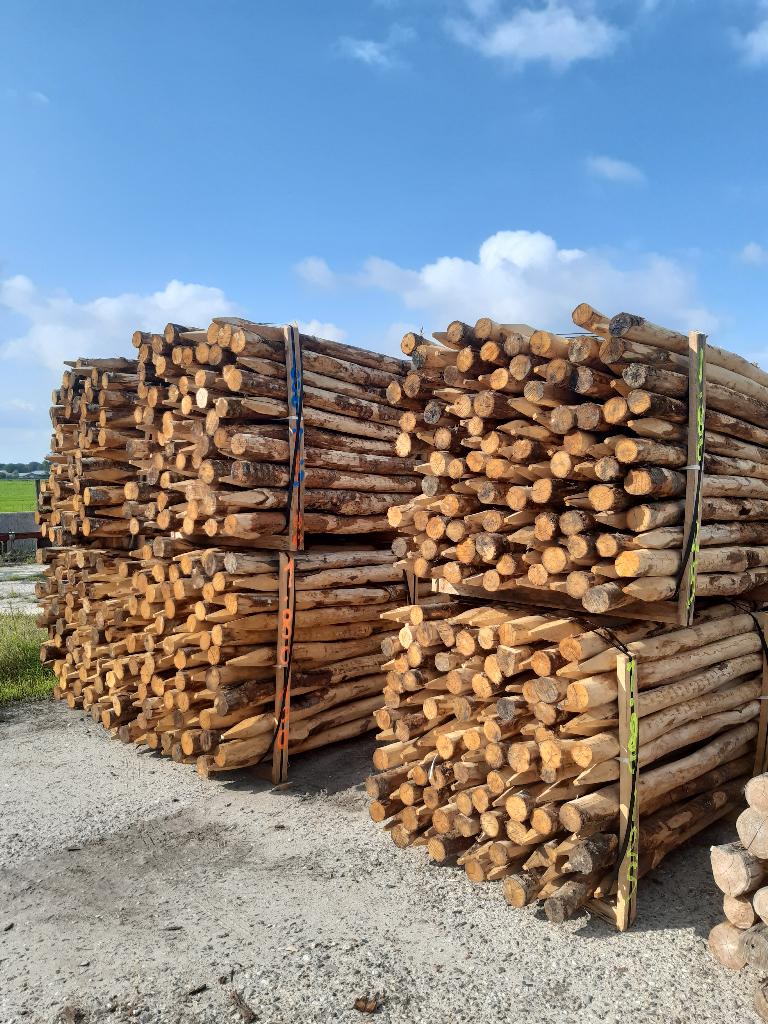Kastanjehouten palen, heiningpalen, 180cm lang , 10/12cm dik, Ophalen, Nieuw, 180 tot 250 cm, Palen