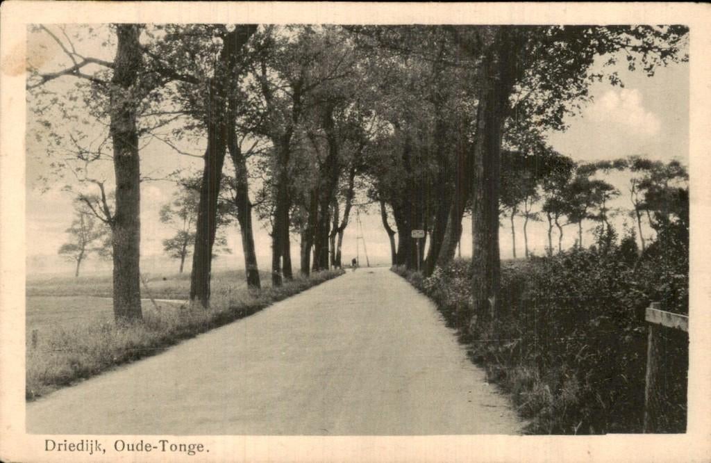 Driedijk- Oude Tonge, Ophalen of Verzenden, Voor 1920, Gelopen, Zuid-Holland