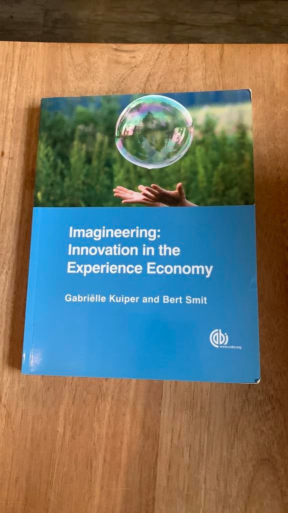 Imagineering: innovation in the experience economy, Ophalen of Verzenden, Beta, Zo goed als nieuw, HBO