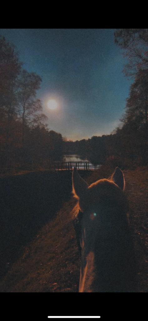 Training of lease, Ophalen, Overige soorten