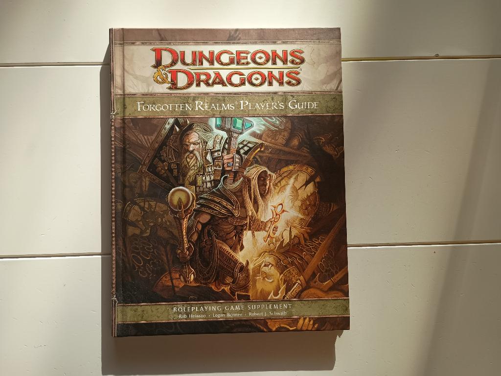 Dungeons & Dragons 4e Forgotten Realms Player's Guide DnD, Vijf spelers of meer, Ophalen of Verzenden, Zo goed als nieuw, Wizards of the Coast