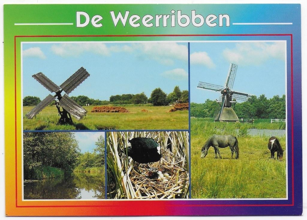 De weerribben Ongelopen Ansichtkaart (B2394, Ophalen of Verzenden, 1980 tot heden, Gelopen