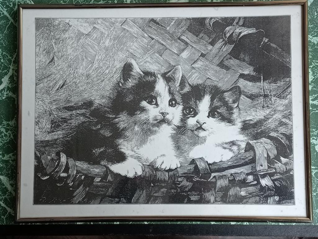 Prent 2 jonge katjes kittens in een mand, Verzenden