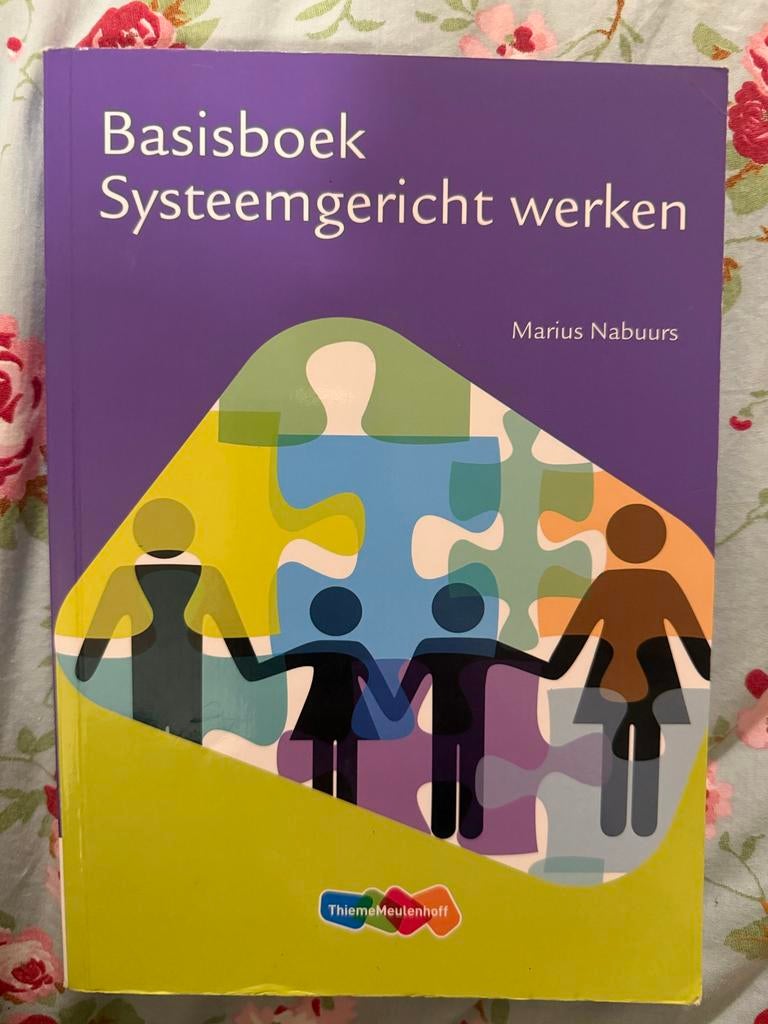 Basisboek Systeemgericht werken - Marius Nabuur, Ophalen of Verzenden, Zo goed als nieuw, HAVO, Overige vakken