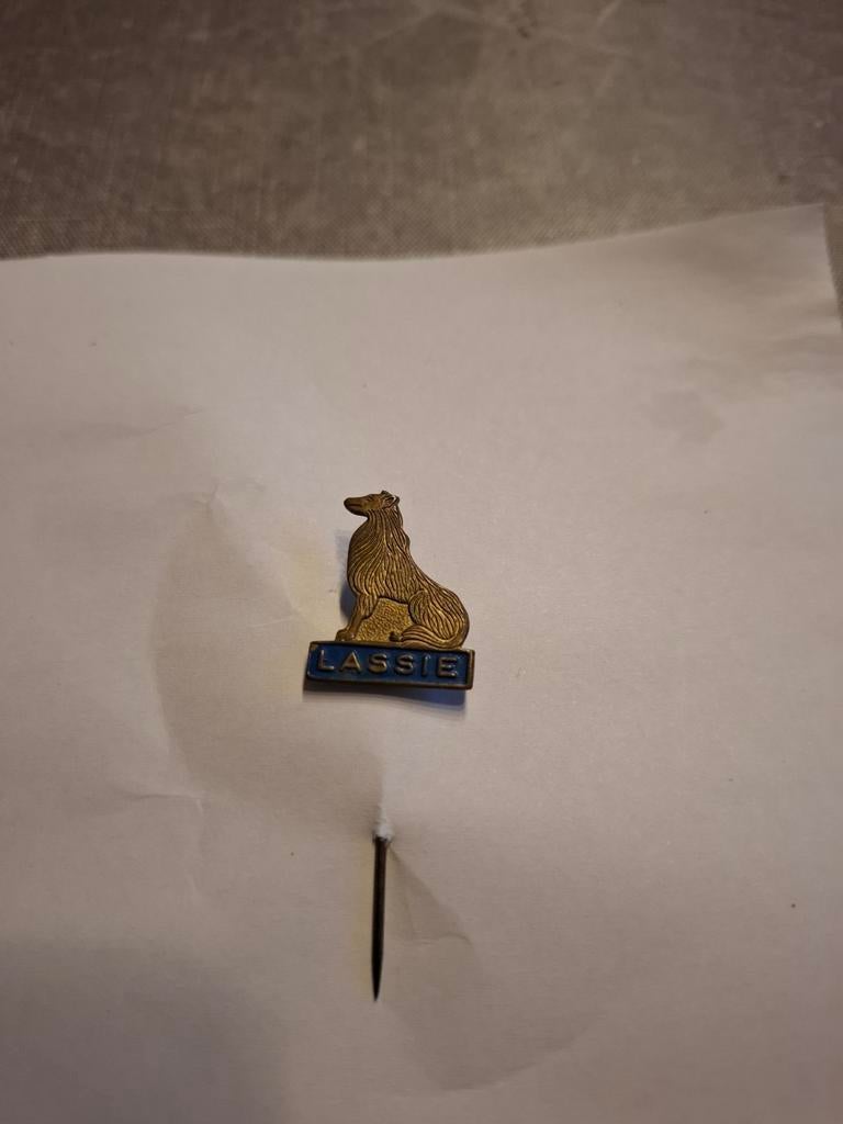 Lassie. Schotse colly, Ophalen of Verzenden, Overige onderwerpen