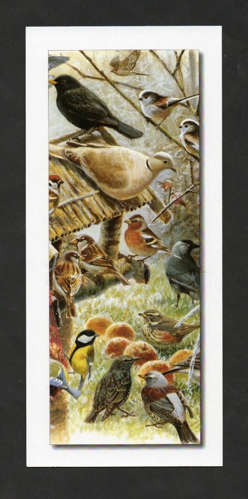 Vogels, Merel, Mus, Vink, Koolmees, Spreeuw, Kauw, Tortel., Verzamelen, Ophalen of Verzenden, 1980 tot heden, Ongelopen, Vogel