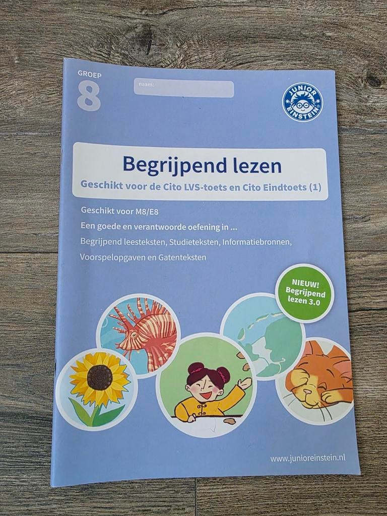 Begrijpend lezen cito eindtoets groep 8, Boeken, Schoolboeken, Ophalen of Verzenden, Zo goed als nieuw, Overige niveaus, Nederlands