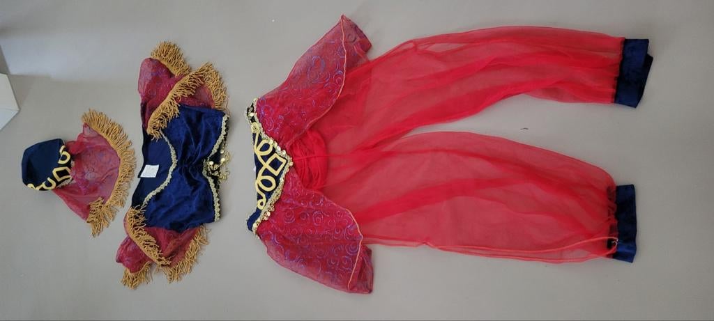 1001 Nacht Kostuum Carnaval - Maat M, Kleding | Dames, Ophalen of Verzenden, Zo goed als nieuw