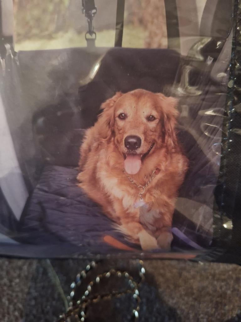 Auto zit beschermer nog nieuw, Ophalen of Verzenden, Nieuw