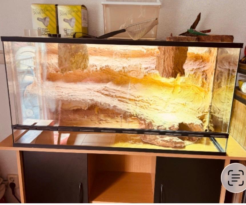 Terrarium 3D met toebehoren, Ophalen, Gebruikt, Terrarium of Paludarium