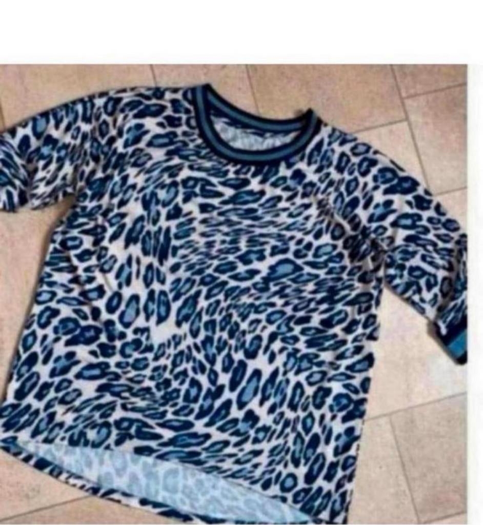 Zara Tijgerprint Sweater Maat XL, Kleding | Dames, Tops, Ophalen of Verzenden, Gedragen, Maat 46/48 (XL) of groter, Overige kleuren