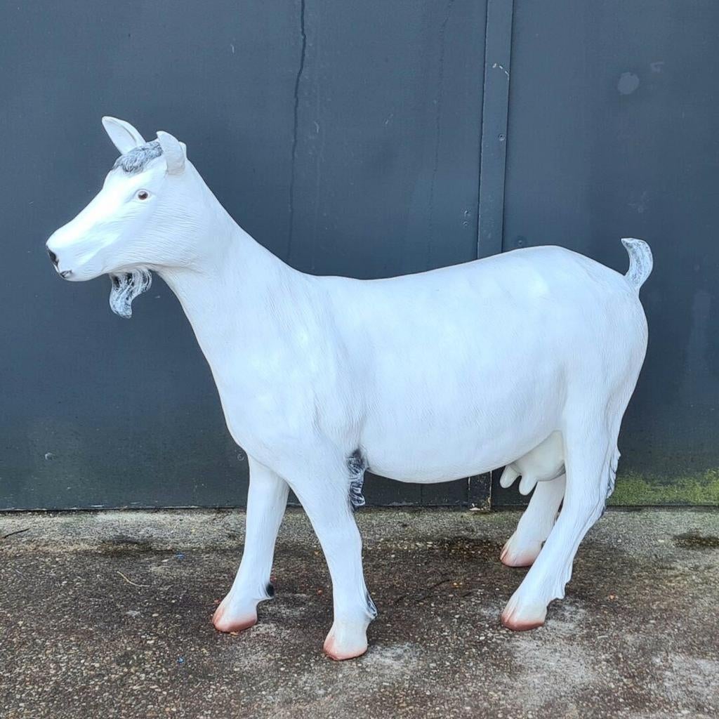 Beeld schaap, beeld koe, beeld kalf, beeld geit, beeld ezel, Tuin en Terras, Tuinbeelden, Ophalen, Nieuw, Kunststof, Dierenbeeld