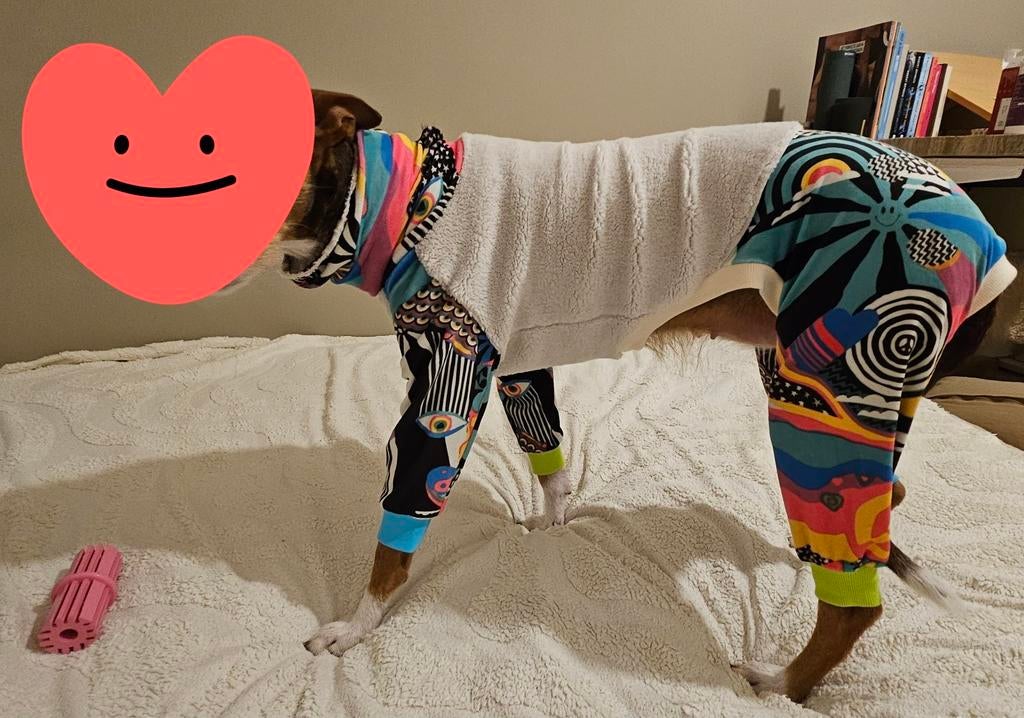 Pyama trui windhond Podenco Whippet, Dieren en Toebehoren, Honden-accessoires, Nieuw, Ophalen