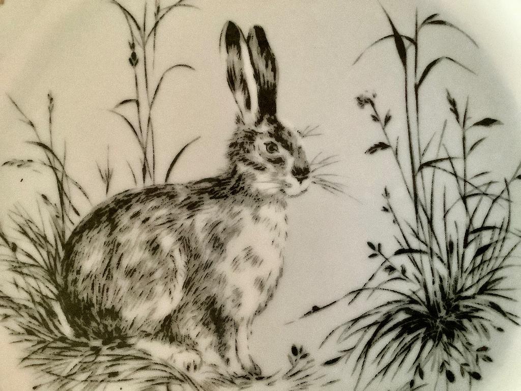 Bord haas in het gras Kahla Konitz porselein, Ophalen of Verzenden