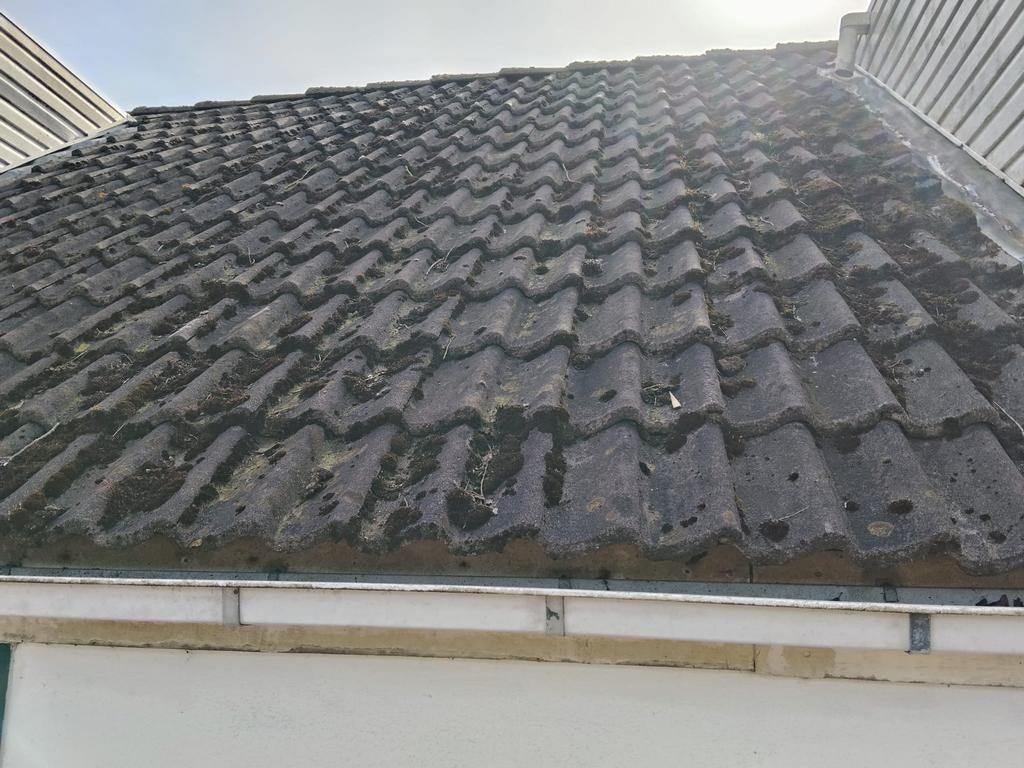 Gratis dakpannen ongeveer 60 m², Ophalen, Gebruikt, Steen of Klei, 15 m² of meer