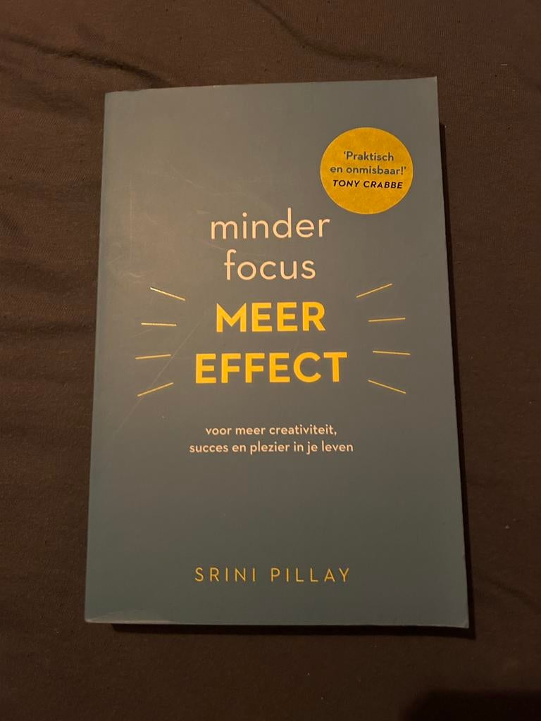 Minder focus meer effect - Srini Pillay, Ophalen of Verzenden, Zo goed als nieuw