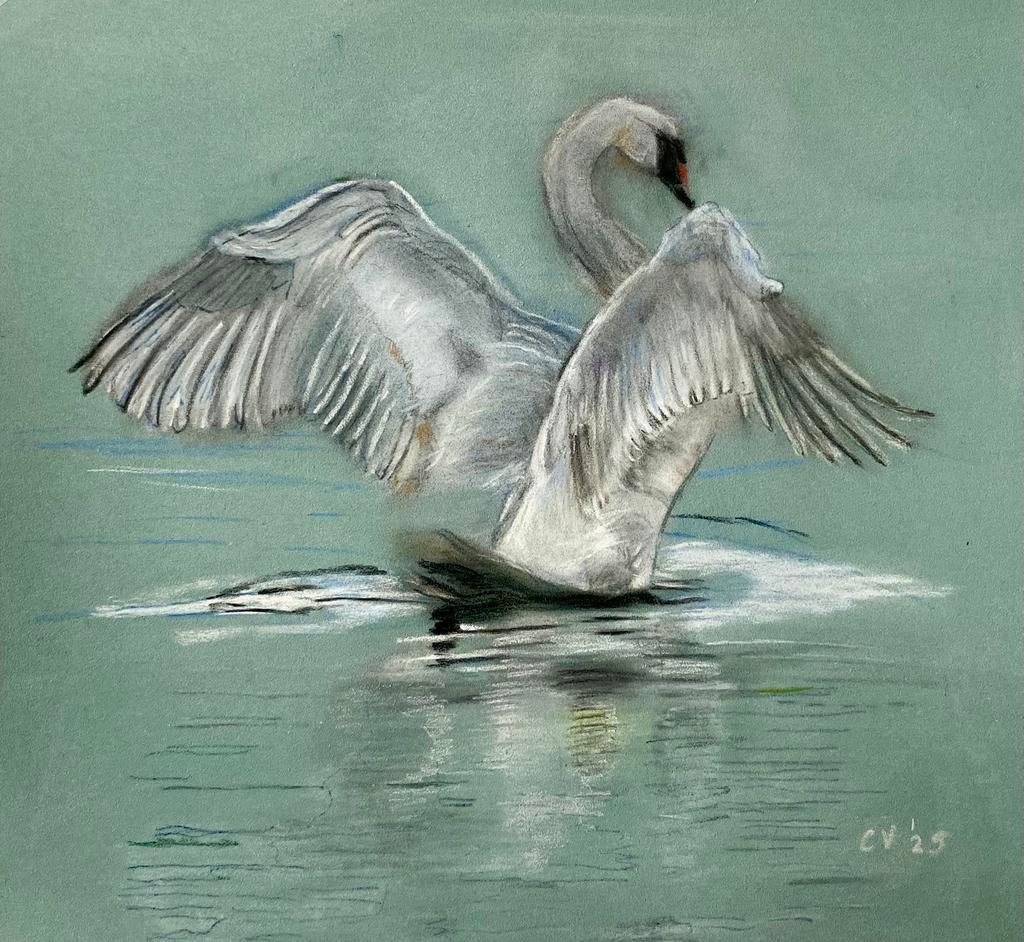 Pastelkrijttekening van een zwaan, Antiek en Kunst, Kunst | Schilderijen | Klassiek, Ophalen of Verzenden