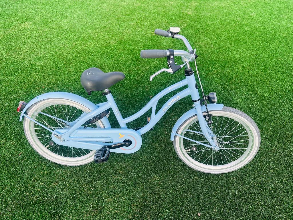 Alpina ocean meisjesfiets 20 inch, Niet ingevuld, 22 inch, Niet ingevuld, Ophalen of Verzenden