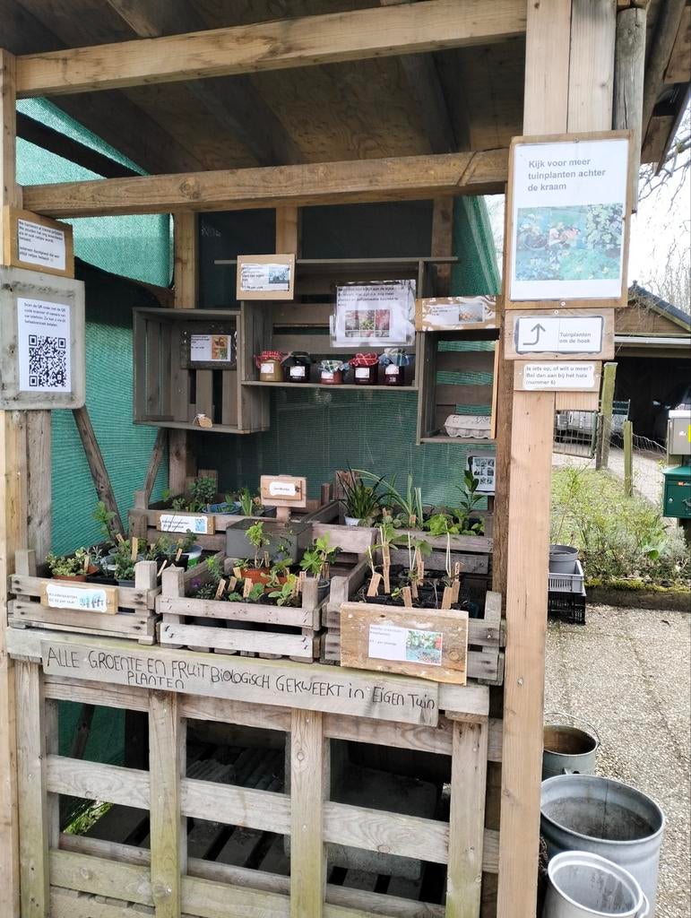 Kraam met planten, zelfgemaakte jam en kaarsen, Tuin en Terras, Planten | Tuinplanten, Ophalen of Verzenden, Eenjarig, Overige soorten