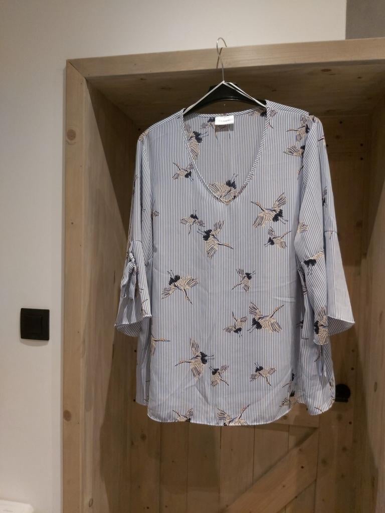 Mooie blouse tuniek Maat 50 nieuw, Kleding | Dames, Blouses en Tunieken, Ophalen, Nieuw, Maat 46/48 (XL) of groter