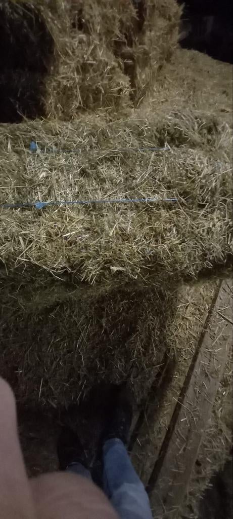 Hooibalen pakjes kleine pakjes hooi, Dieren en Toebehoren, Ophalen of Verzenden, Vee