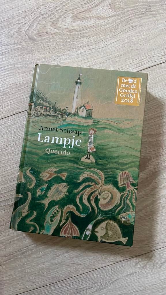 Annet Schaap. Lampje (zeer netjes!), Ophalen of Verzenden, Zo goed als nieuw