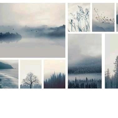 Ikea GRÖNBY Natuurafbeeldingen Set - Zeer Goede Staat, Ophalen of Verzenden, Zo goed als nieuw, Schilderij, Minder dan 50 cm