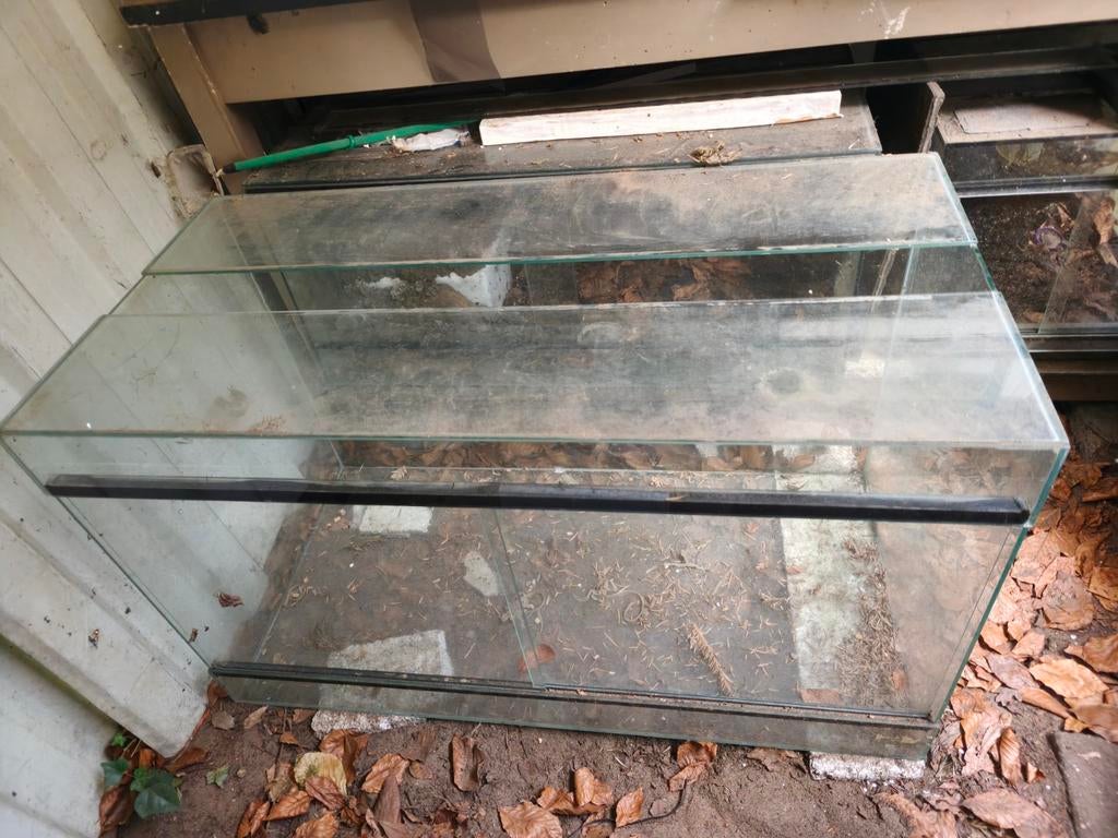 Terrarium 100x60x50, Dieren en Toebehoren, Reptielen en Amfibieën | Toebehoren, Ophalen