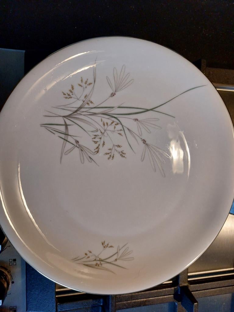 KPM Servies zoektocht, Ophalen of Verzenden