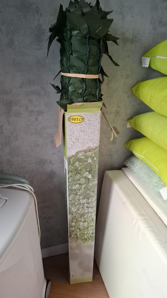 Kunsthaag, Ophalen of Verzenden