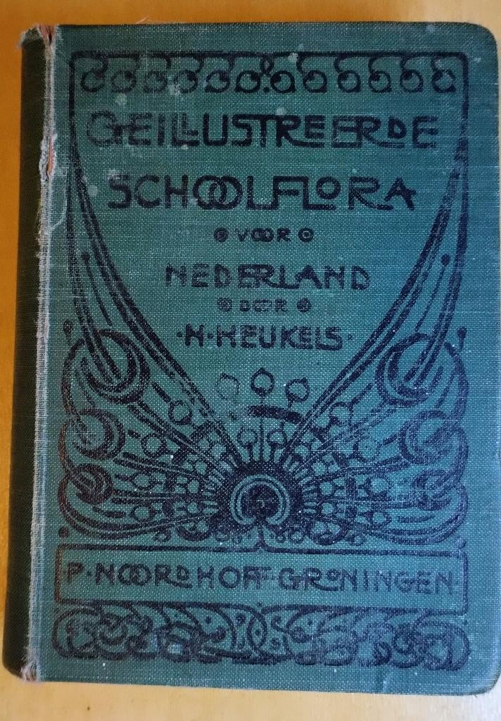 Boek Geillustreerde schoolflora voor Nederland Heukels 1919, Boeken, Gelezen, Ophalen of Verzenden, H. Heukels, Natuur algemeen