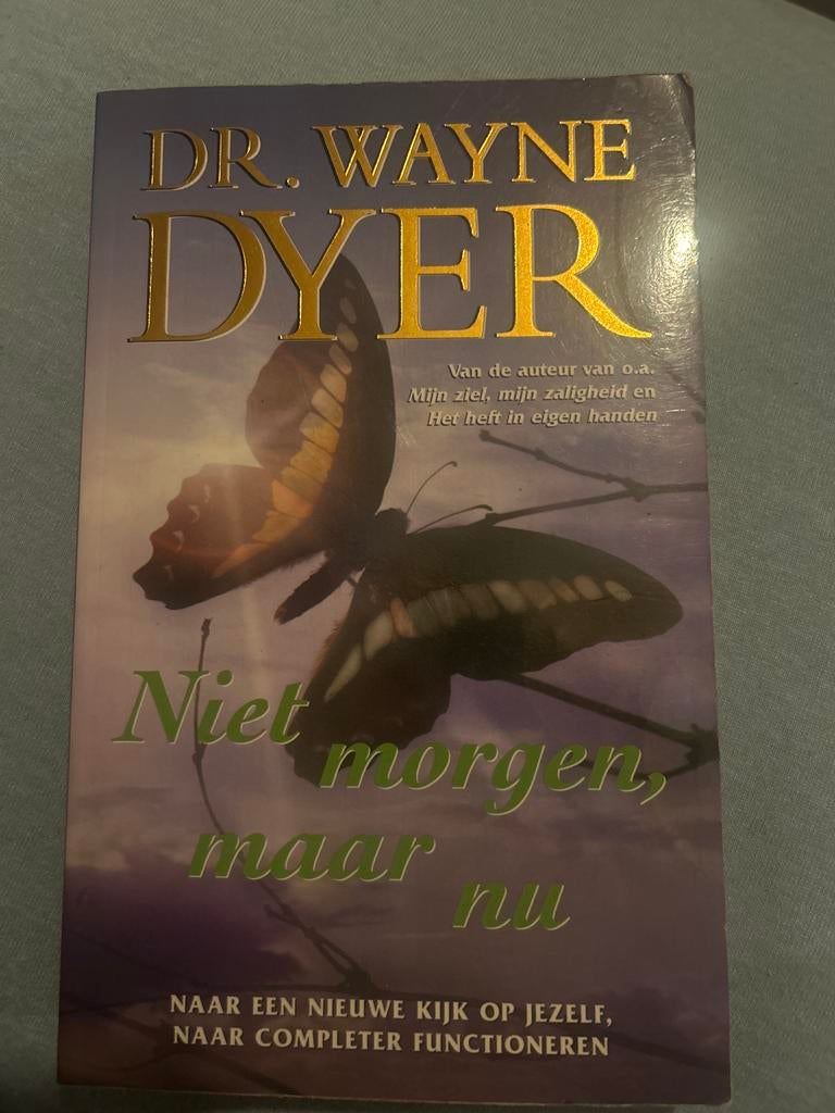 Niet morgen, maar nu - Wayne Dyer, Ophalen of Verzenden, Gelezen, Overige onderwerpen