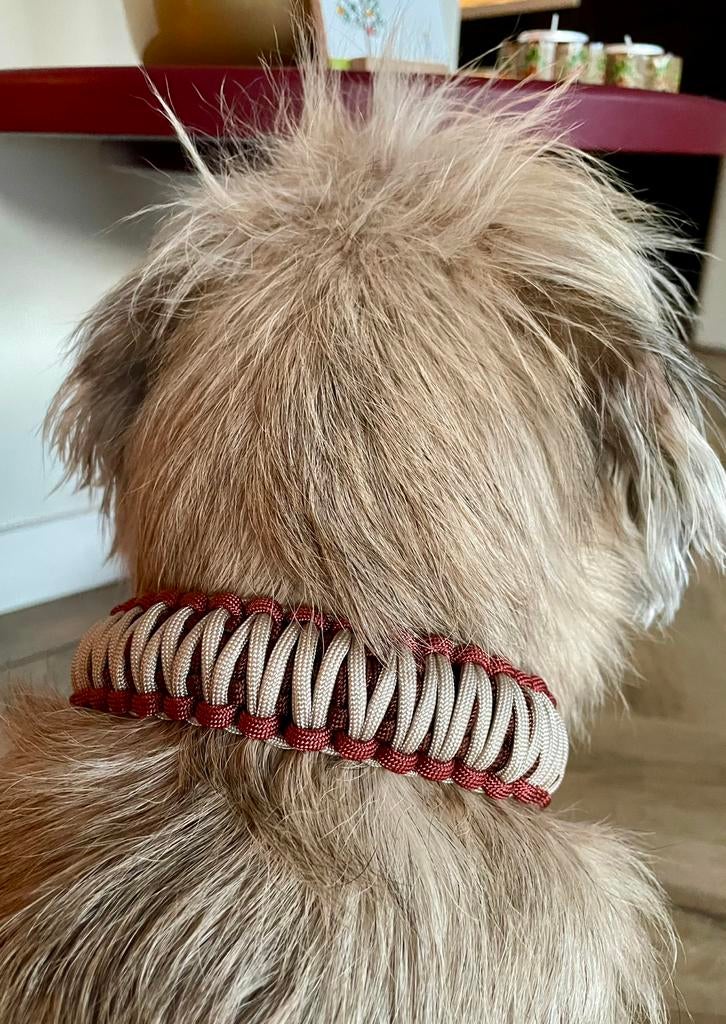 Halsband voor hond, Dieren en Toebehoren, Hondenhalsbanden en Penningen, Ophalen of Verzenden, Nieuw